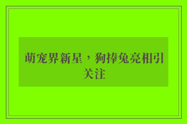 萌宠界新星，狗捧兔亮相引关注